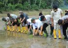 Wakil Wali Kota Solok Hadiri Ground Breaking Rehabilitasi Lahan Sawah Terdampak Bencana di Kabupaten Solok